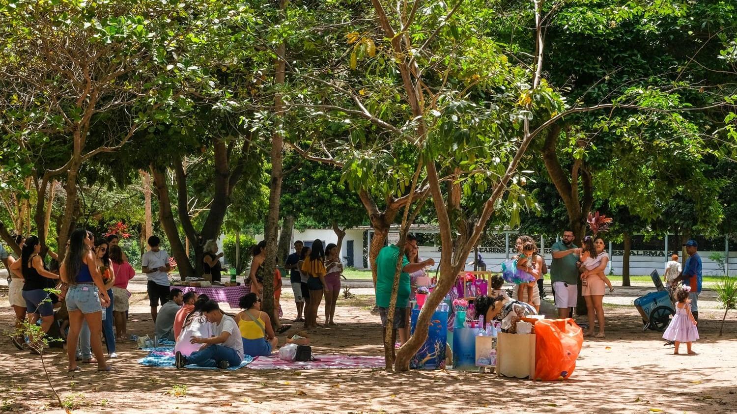 Parque Dom Aloísio Lorscheider oferta aulas de música gratuitas