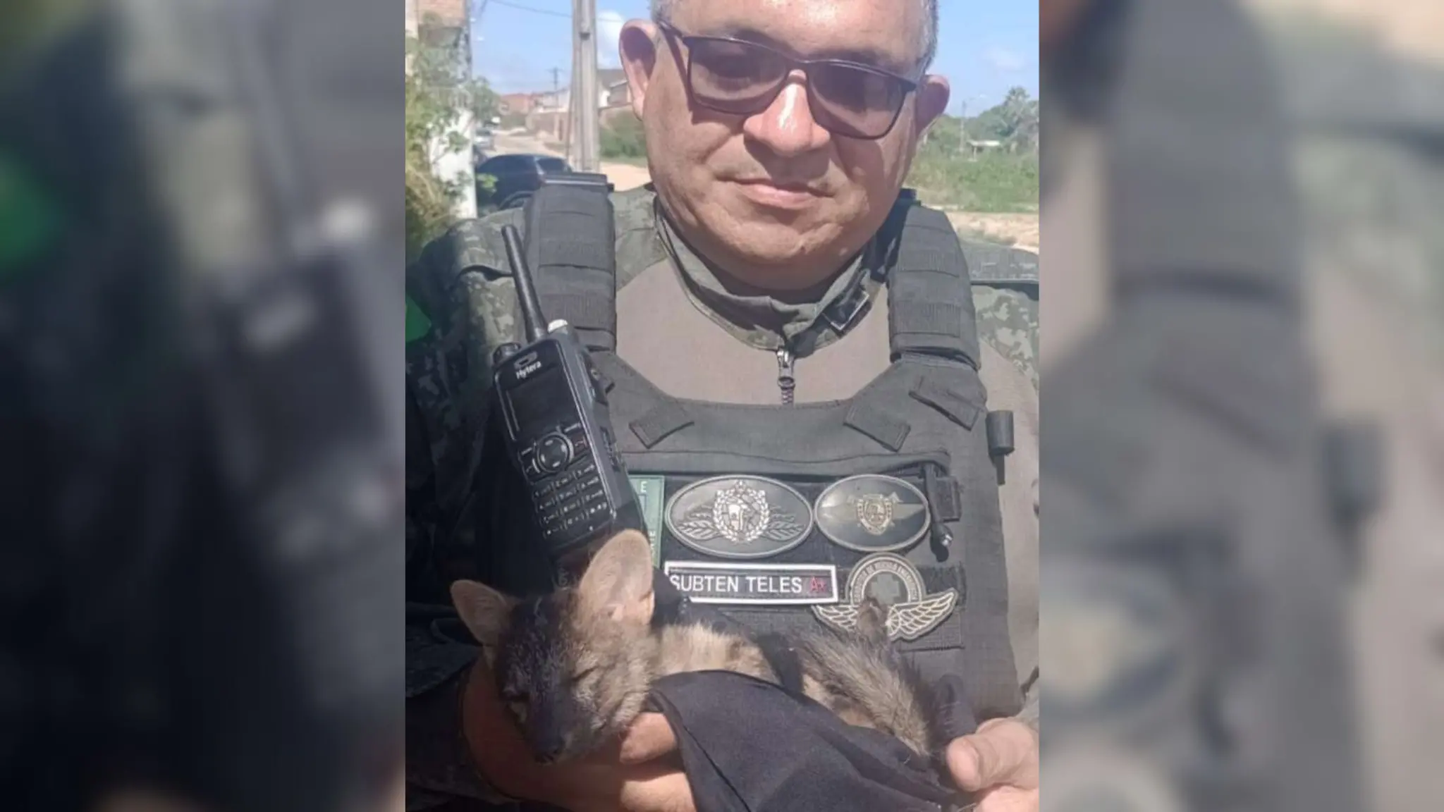 Filhote de raposa resgatado por policiais