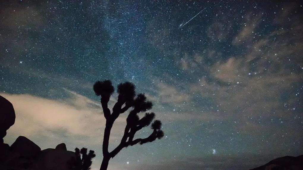 Chuva de meteoros 2024 veja o calendário divulgado pela Nasa Ciência