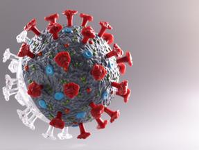 imagens do coronavírus
