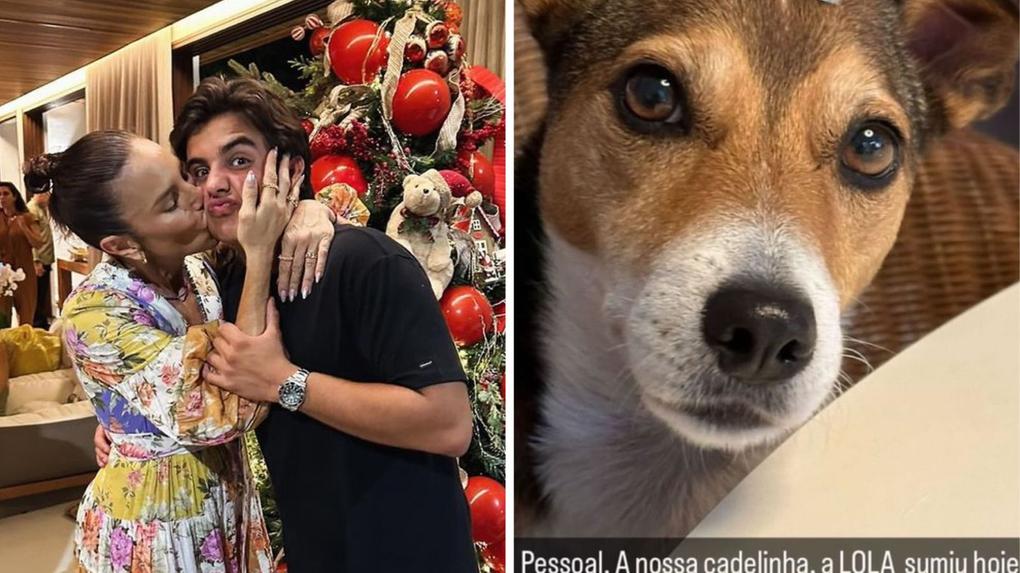Montagem de fotos mostra Marcelo e Ivete à esquerda e a cachorrinha que se perdeu à direita