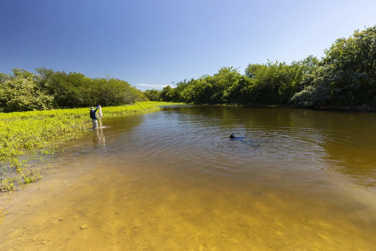 Estudiosos começaram a pesquisa no Rio Grande do Norte