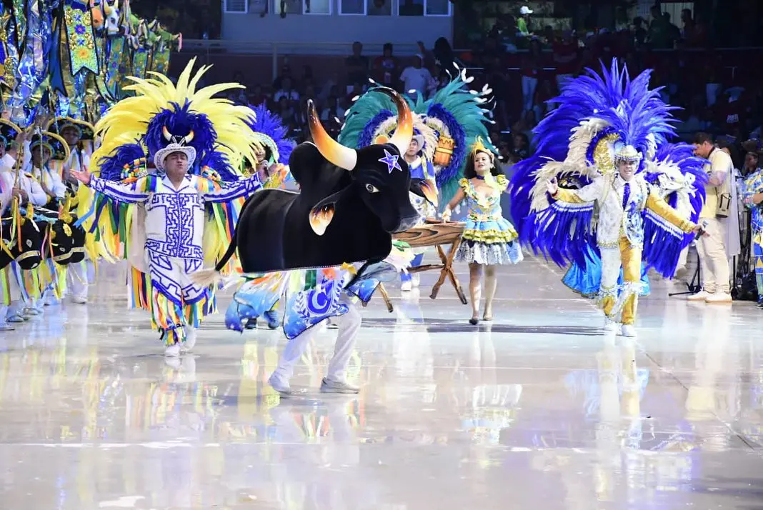 O boi caprichoso é destacado pela cor azul