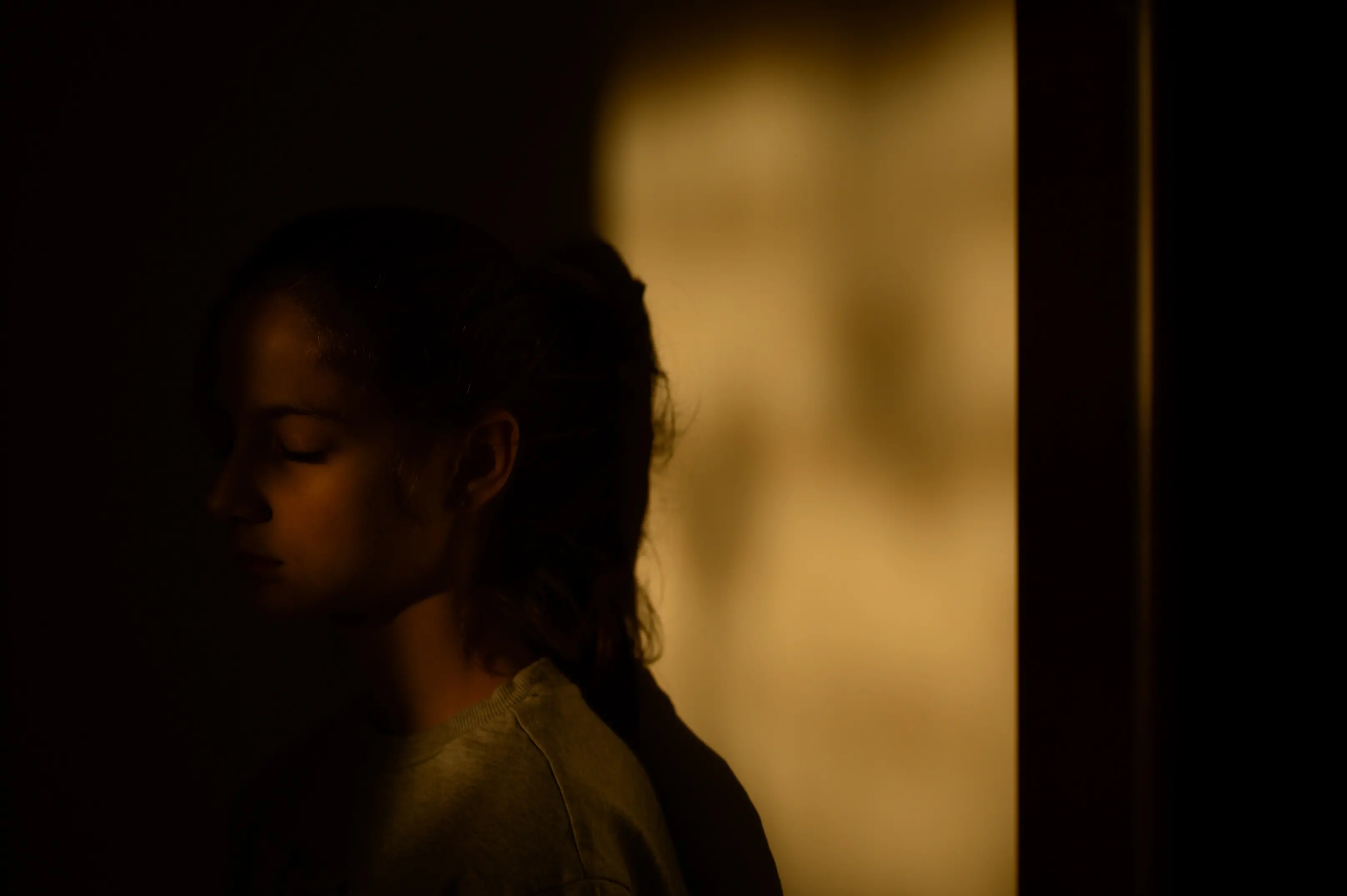 Violência doméstica contra a mulher