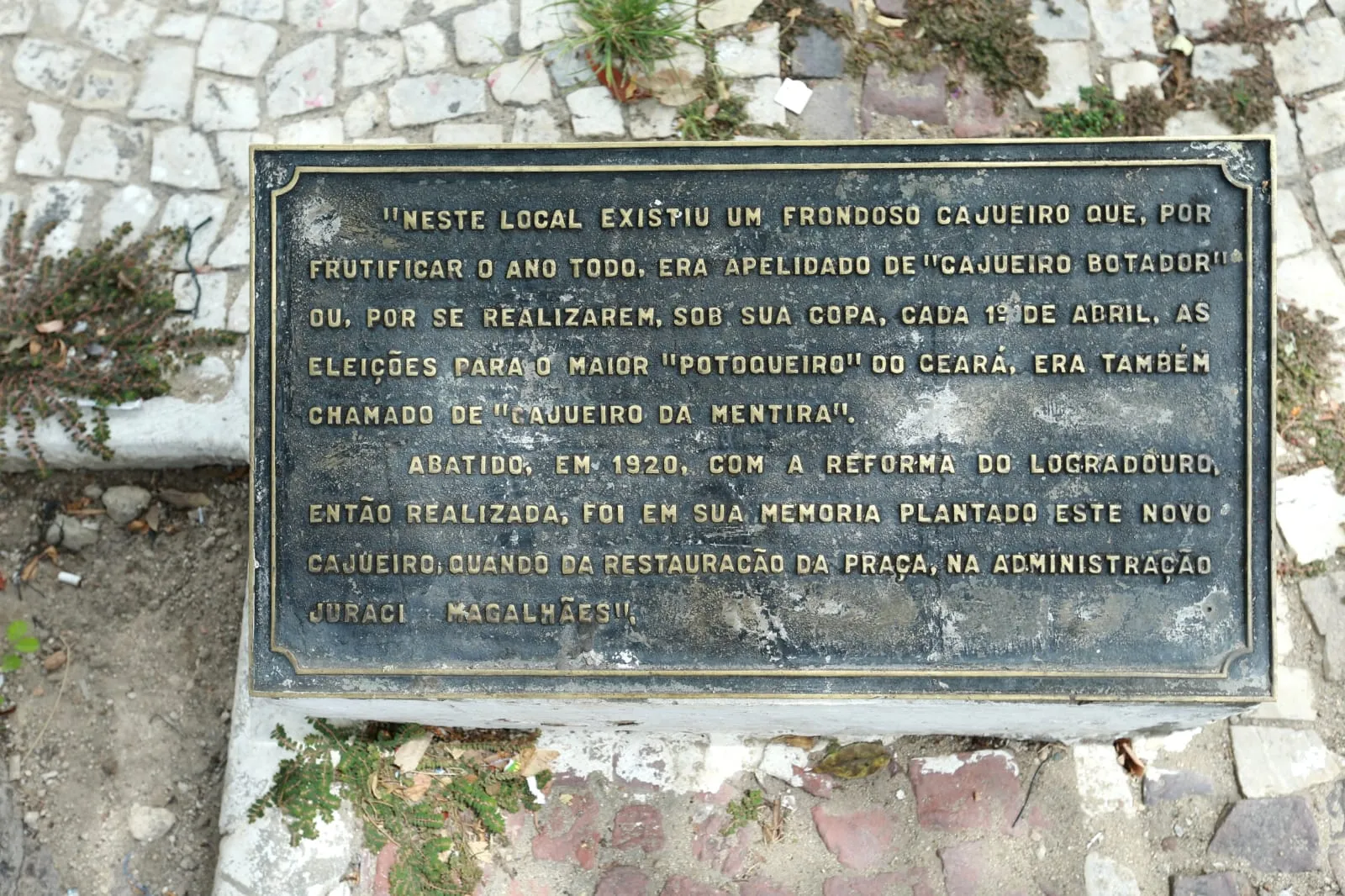 Placa detalha o contexto histórico do cajueiro da mentira
