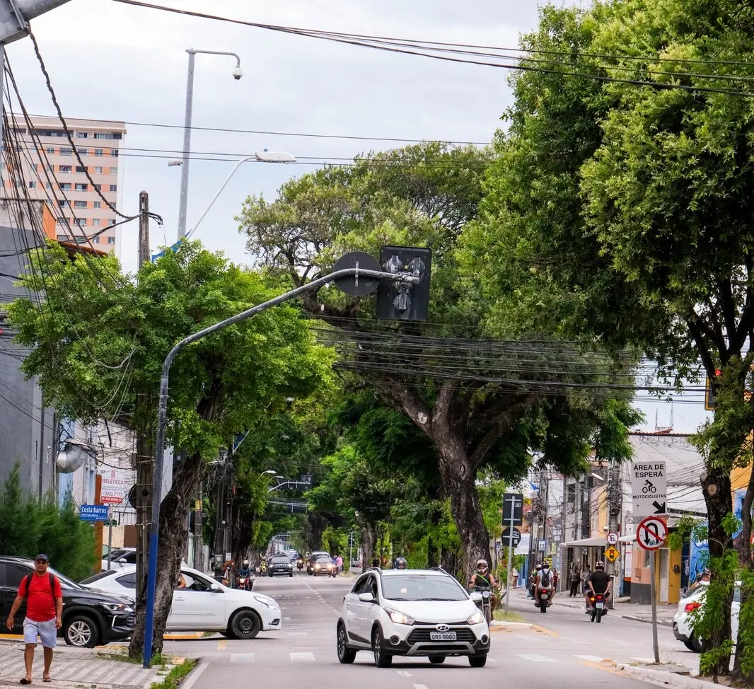 Árvores na Avenida Dom Manuel