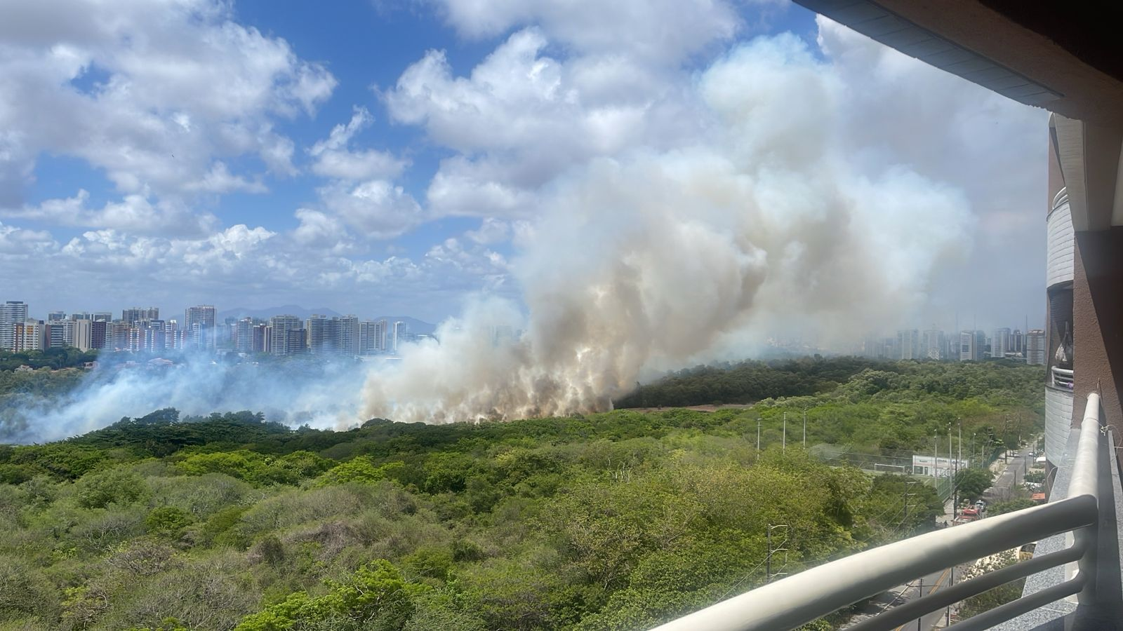 Imagem mostra foco de incêndio registrado no Parque Estadual do Cocó em 18 de janeiro de 2024. Parque do Cocó registra incêndio em local de difícil acesso em Fortaleza; fumaça invade região