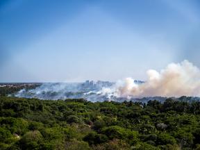 Imagem mostra visão panorâmica de incêndio no Parque Estadual do Cocó, registrado em 18 de janeiro de 2024, em Fortaleza. Fogo subterrâneo e solo inflamável: entenda dificuldades para combate a incêndio no Parque do Cocó