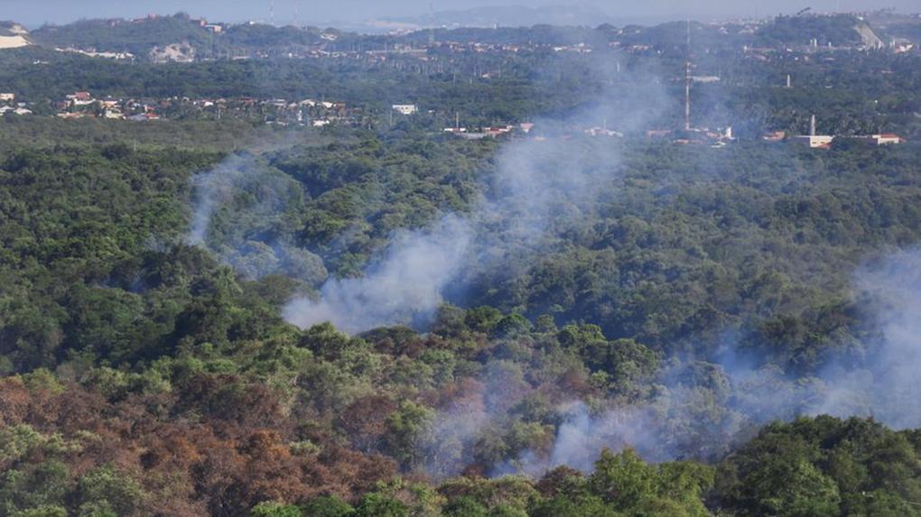 vegetação do Parque do Cocó é tomada por fumaça
