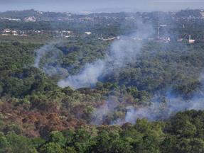 vegetação do Parque do Cocó é tomada por fumaça