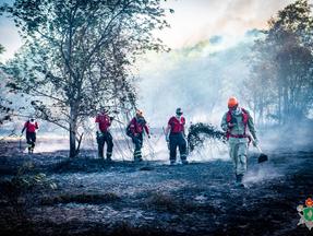 Bombeiros combatendo incêndio no Parque do Cocó