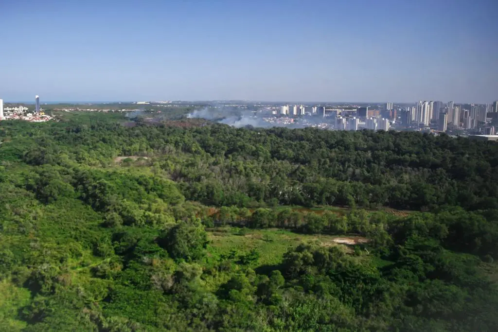Incêndio no Parque do Cocó