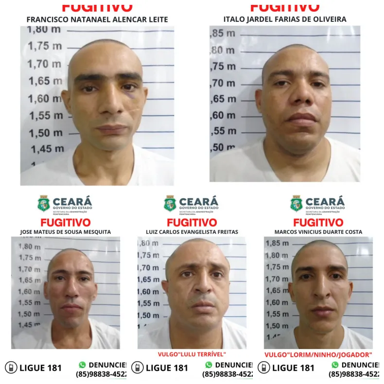Os cinco internos serraram as grades da cela e fugiram pela muralha