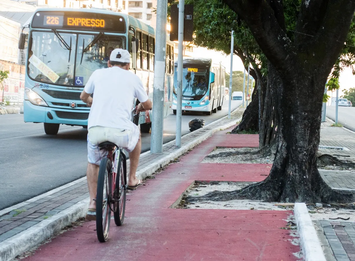 Antes da reforma, raízes de árvores desafiavam a condução dos ciclistas