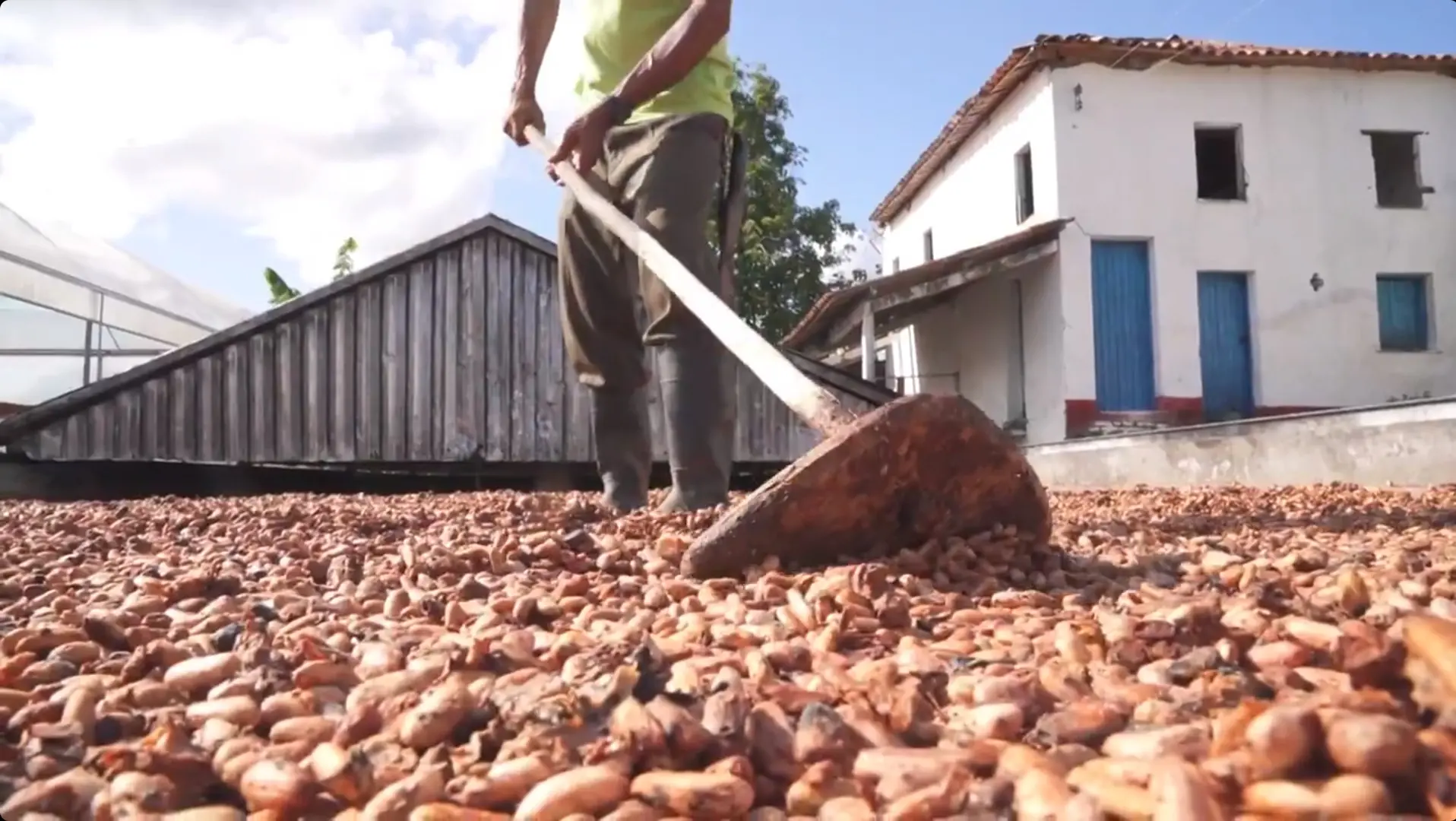 Fazendas produtoras de cacau foram usadas em gravações