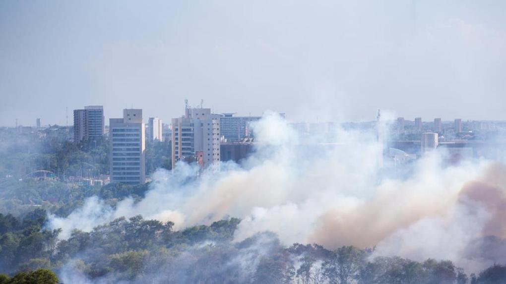 Fumaça do incêndio no Parque do Cocó neste mês de janeiro alcançou diversos bairros de Fortaleza
