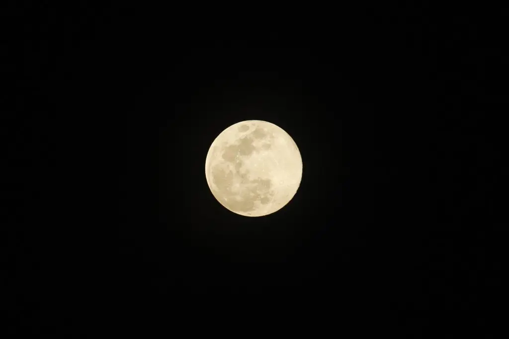 Lua do Lobo