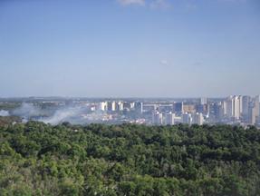 Incêndio devastou o Cocó no dia 19/01/24 - foto de apoio ilustrativo