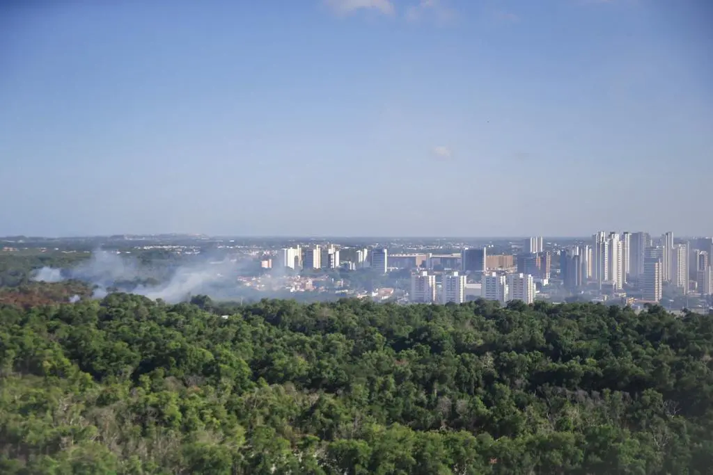 Incêndio devastou o Cocó no dia 19/01/24 - foto de apoio ilustrativo