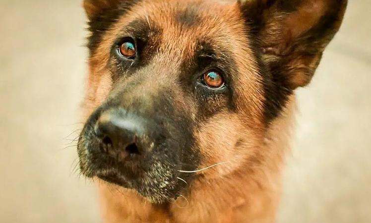 cena do filme Minha Amiga Palma