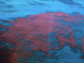 Fenômeno ocorre no mar por grande proliferação de algas