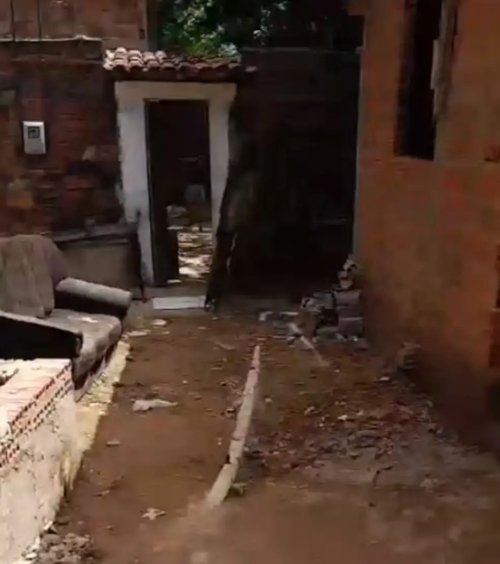 Mulher é presa por matar o próprio filho de oito meses no Maranhão