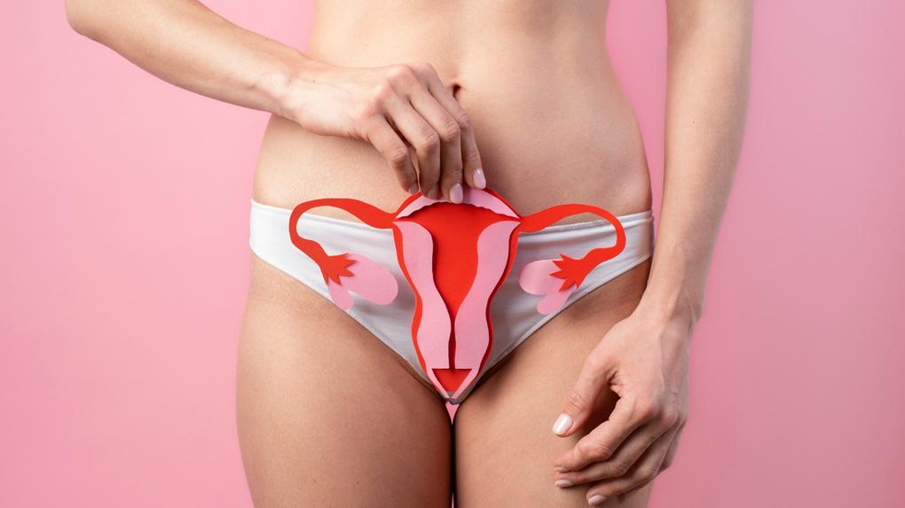 útero de papel mantido por mulher perto de seu sistema reprodutivo. HPV: o que é, sintomas e tratamento
