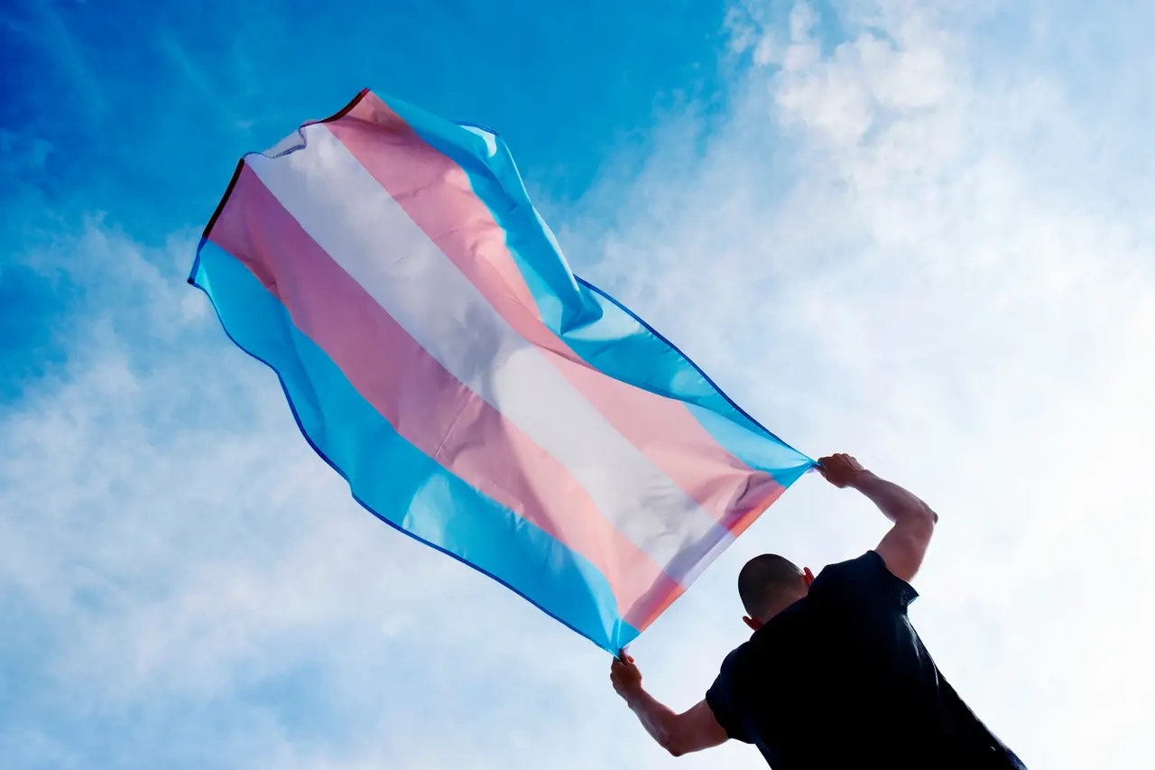 bandeira trans
