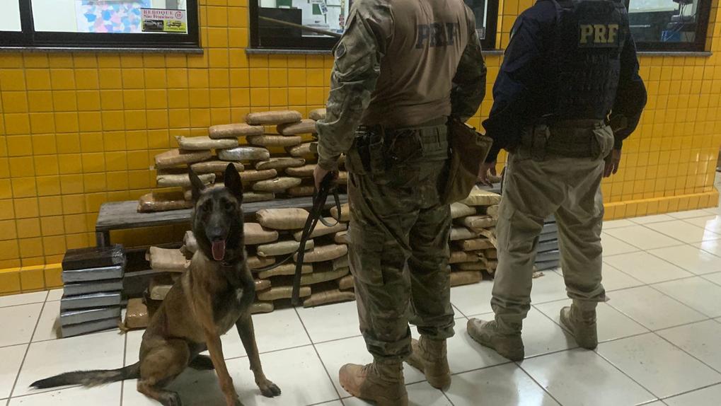 agentes da Polícia Rodoviária Federal com cão e drogas