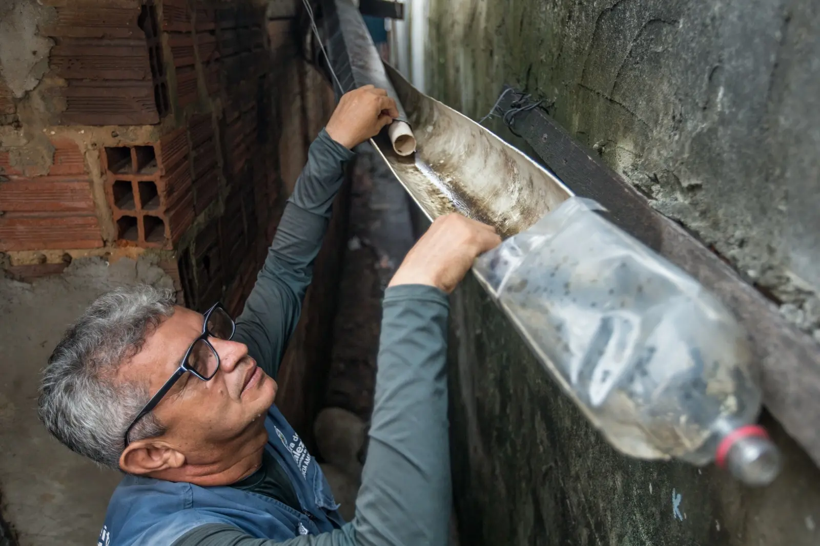 Agente de endemias limpa calha para prevenir proliferação do mosquito Aedes aegypti