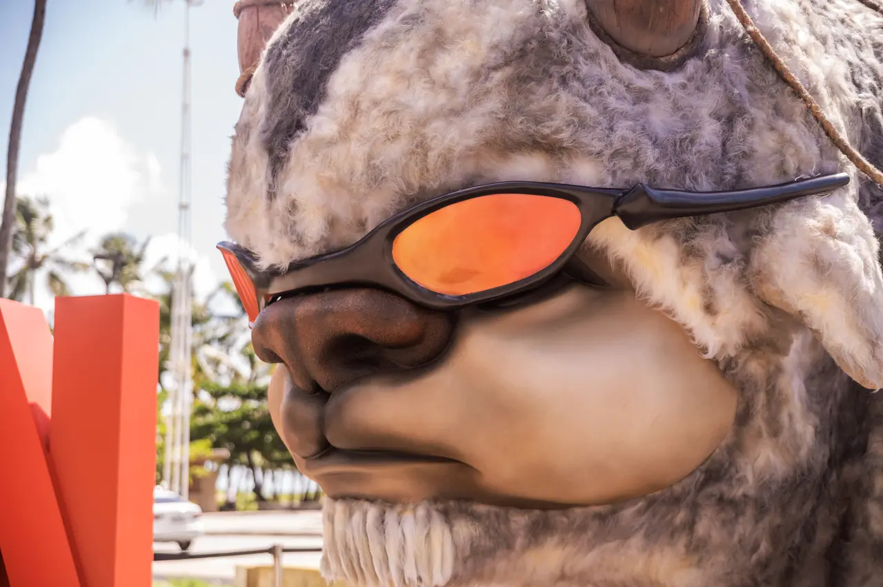 A última passagem da ação com o bisão voador foi em Recife (PE), onde ele ganhou óculos estilizados