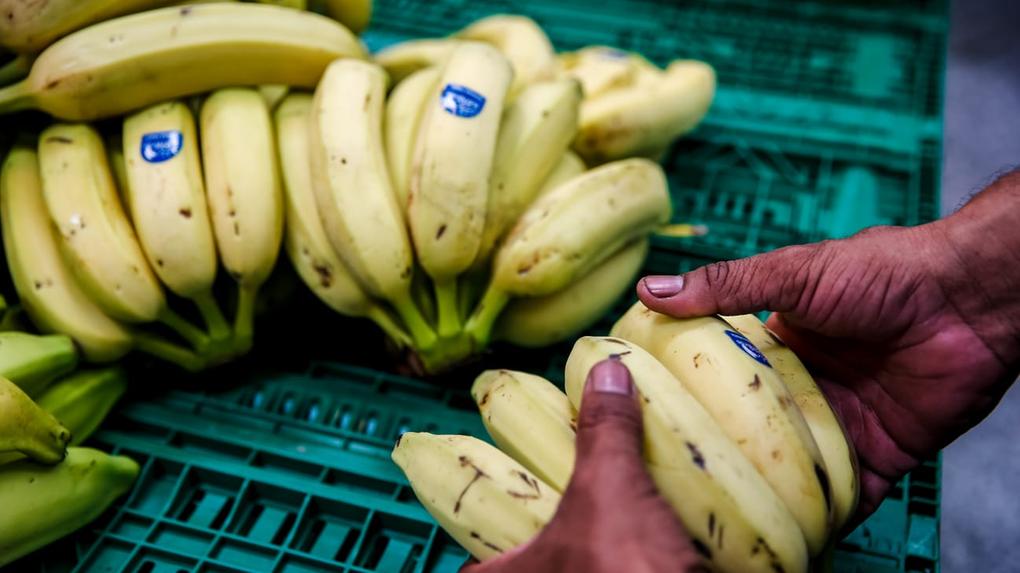 foto de bananas em prateleira de supermercado