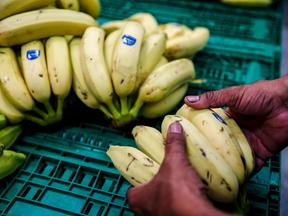foto de bananas em prateleira de supermercado