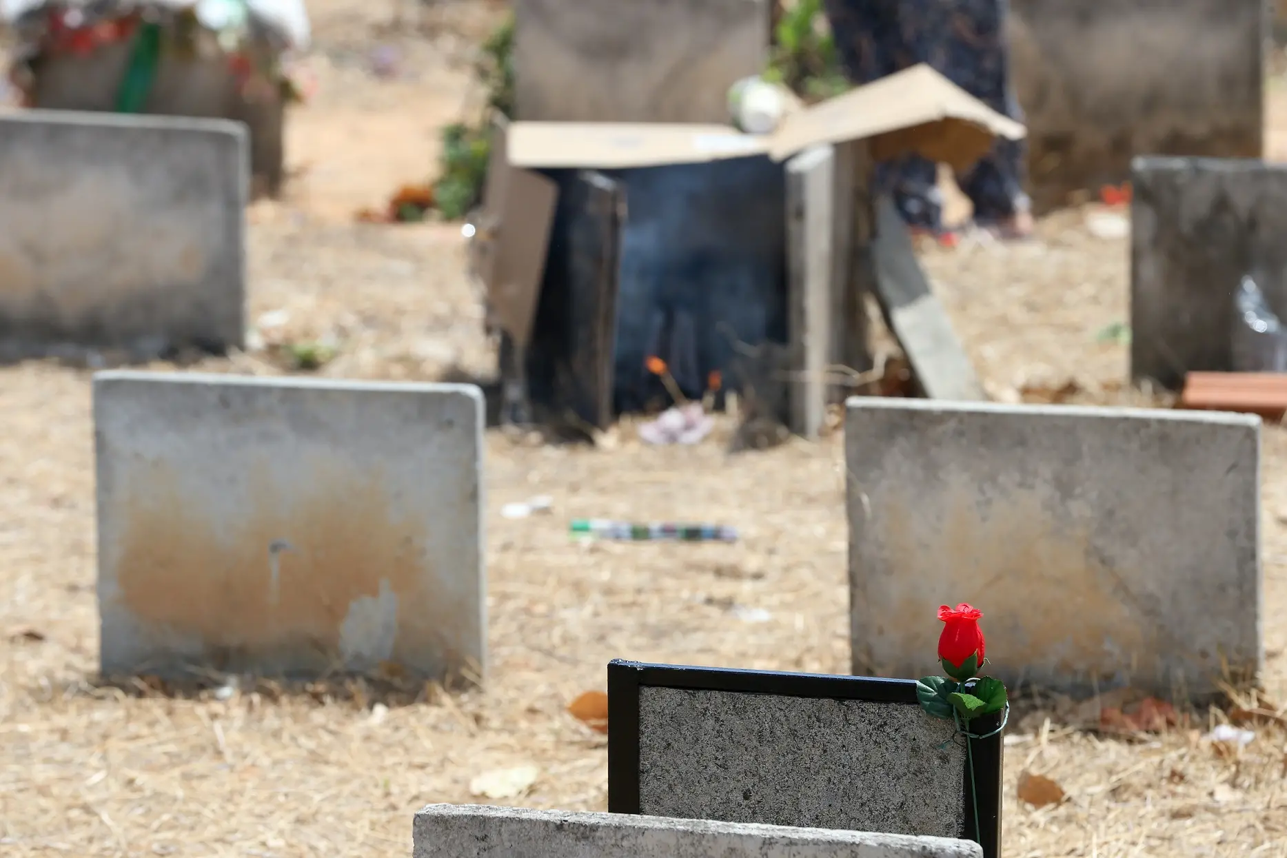 Túmulos no Cemitério Parque Bom Jardim