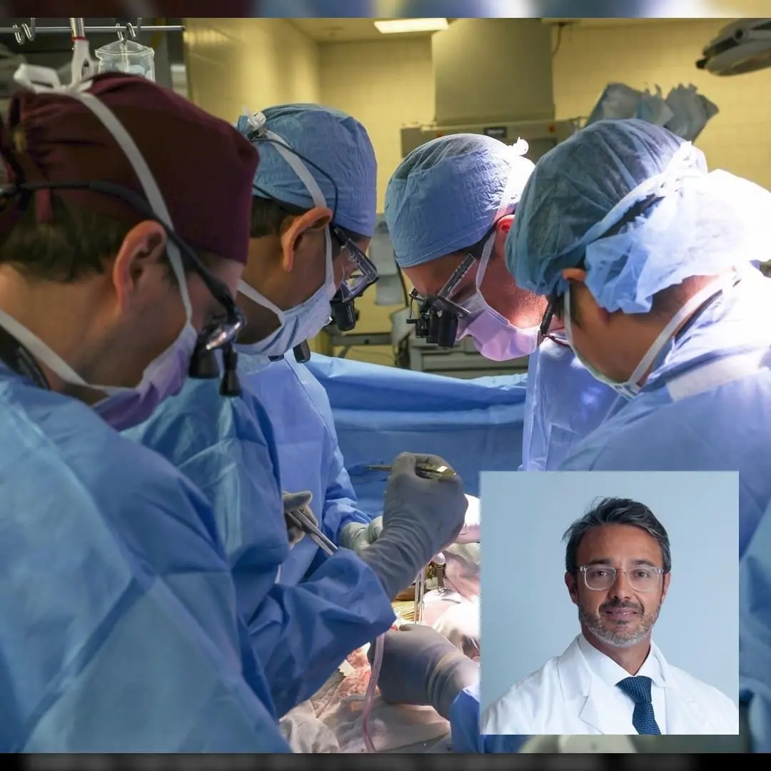 O rim de porco foi fornecido pela eGenesis de Cambridge, Massachusetts