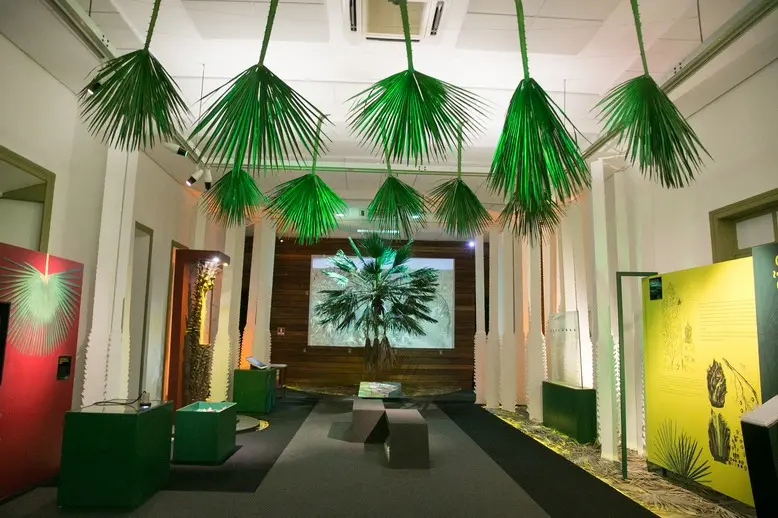 Expedição Carnaúba