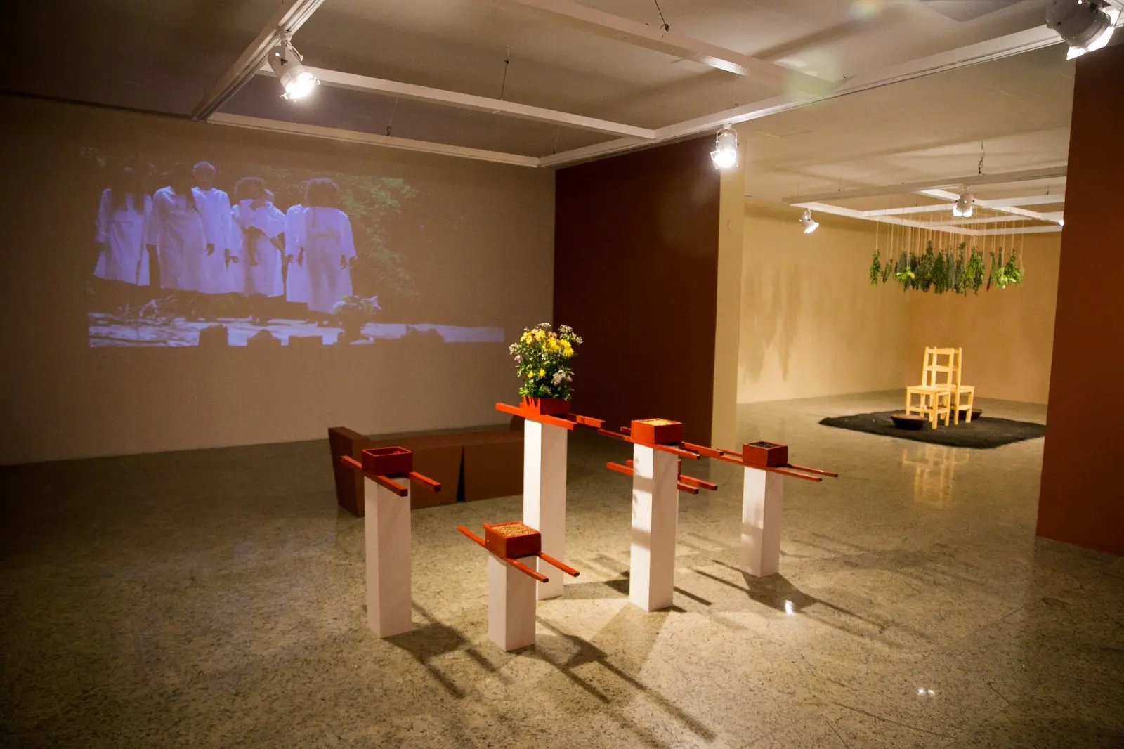 Entre as três exposições, 'Cansanção em Flor' destaca a Chapada Nacional do Araripe e a Floresta Nacional do Araripe, no Cariri