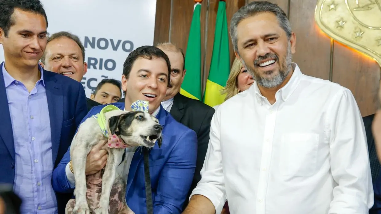 capa da noticia