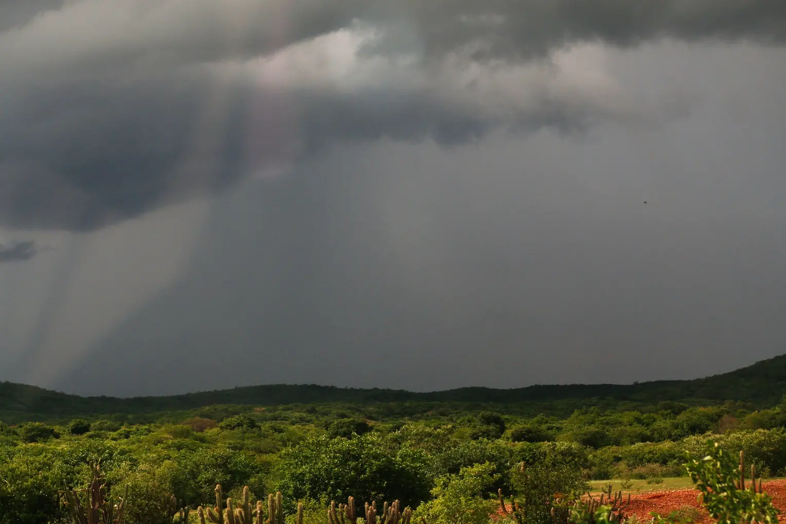Paisagem nublada no interior do Ceará
