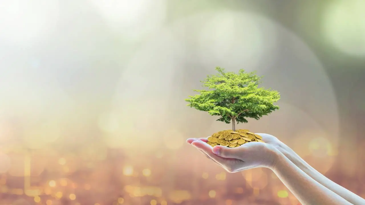 Arte representando a ecofiscalidade