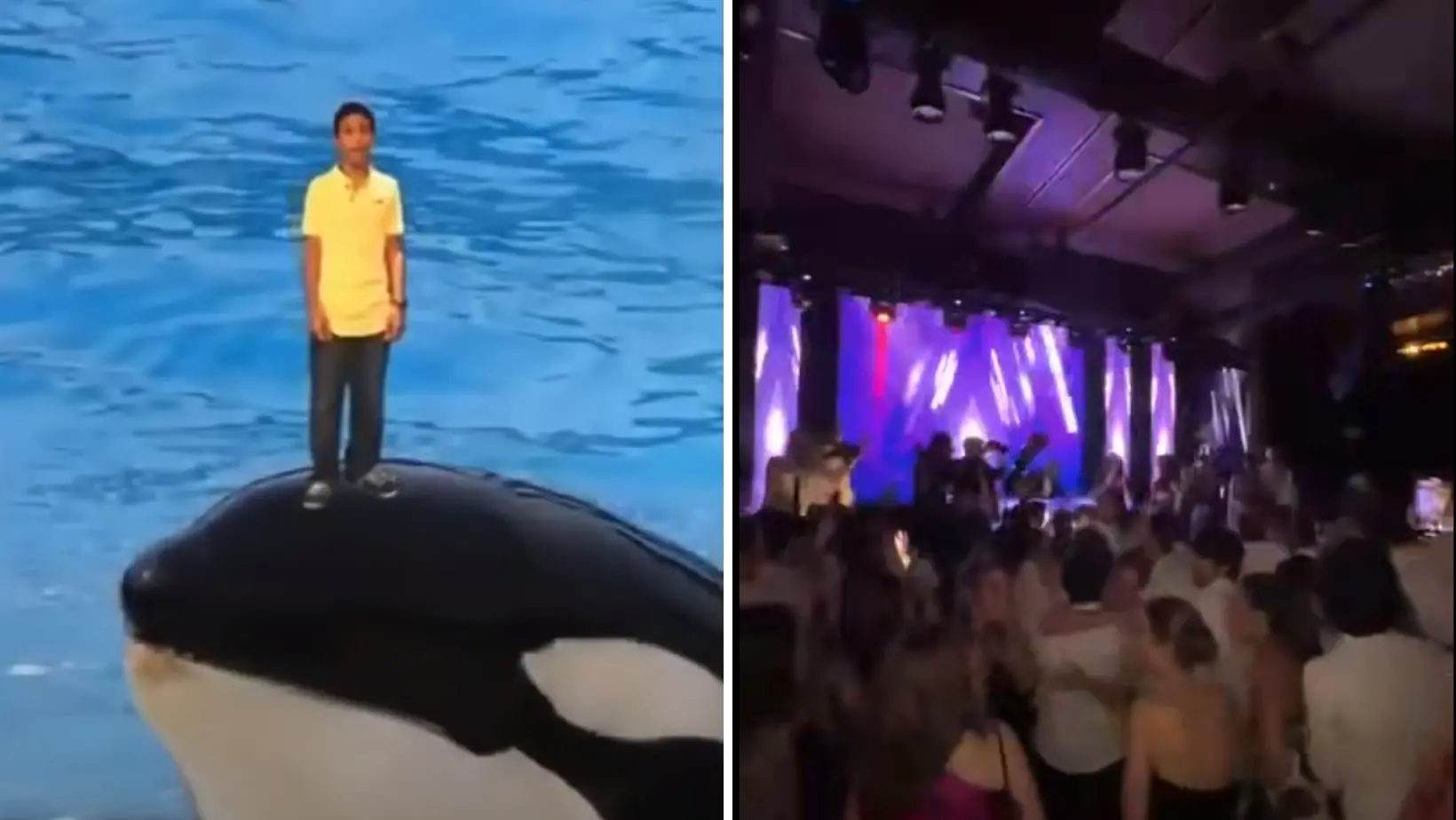 Montagem de Nissim Ourfali e seu casamento