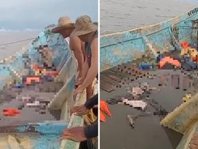 Montagem de barco encontrado com corpos em decomposição no Pará
