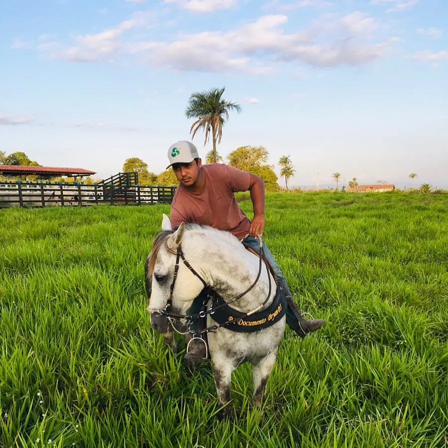 Esdras Ferro e seu cavalo morreram após um choque elétrico em Tocantins