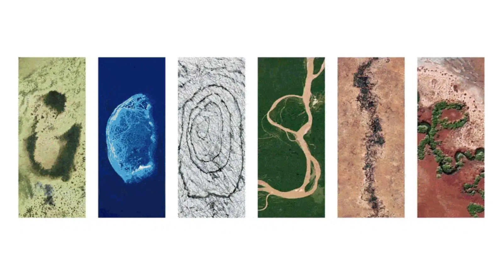 Doodle Dia da Terra em 22 de abril de 2024. Dia da Terra: Google homenageia data e usa imagens de parque brasileiro em Doodle temático