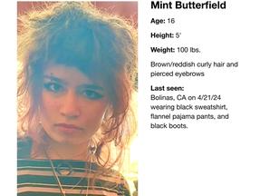 Mint Butterfield