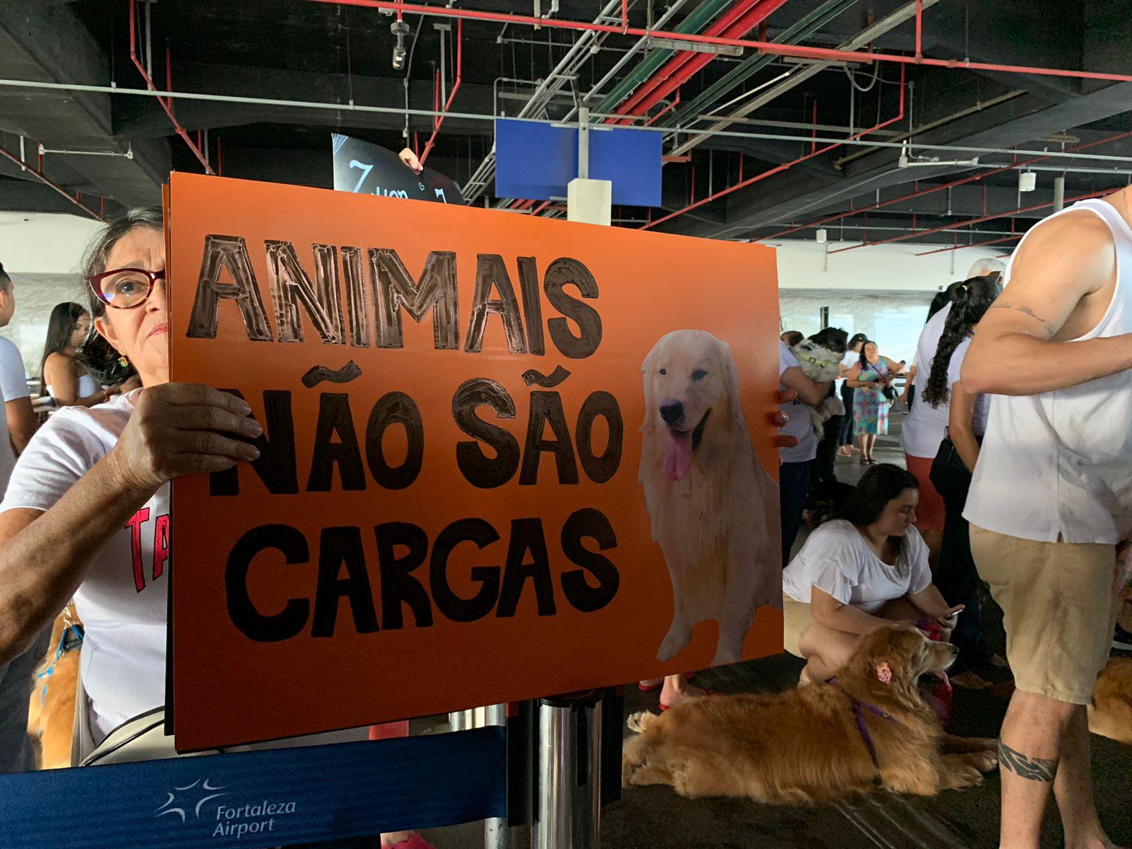 Mulher segura cartaz com frase que diz que animais não são cargas