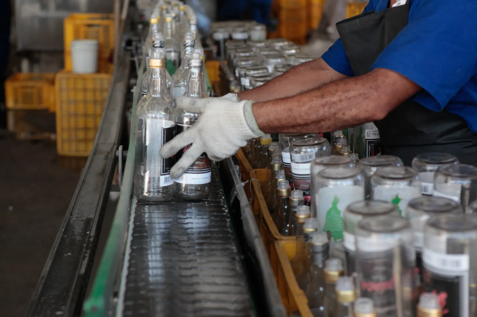 Fabricação de bebida