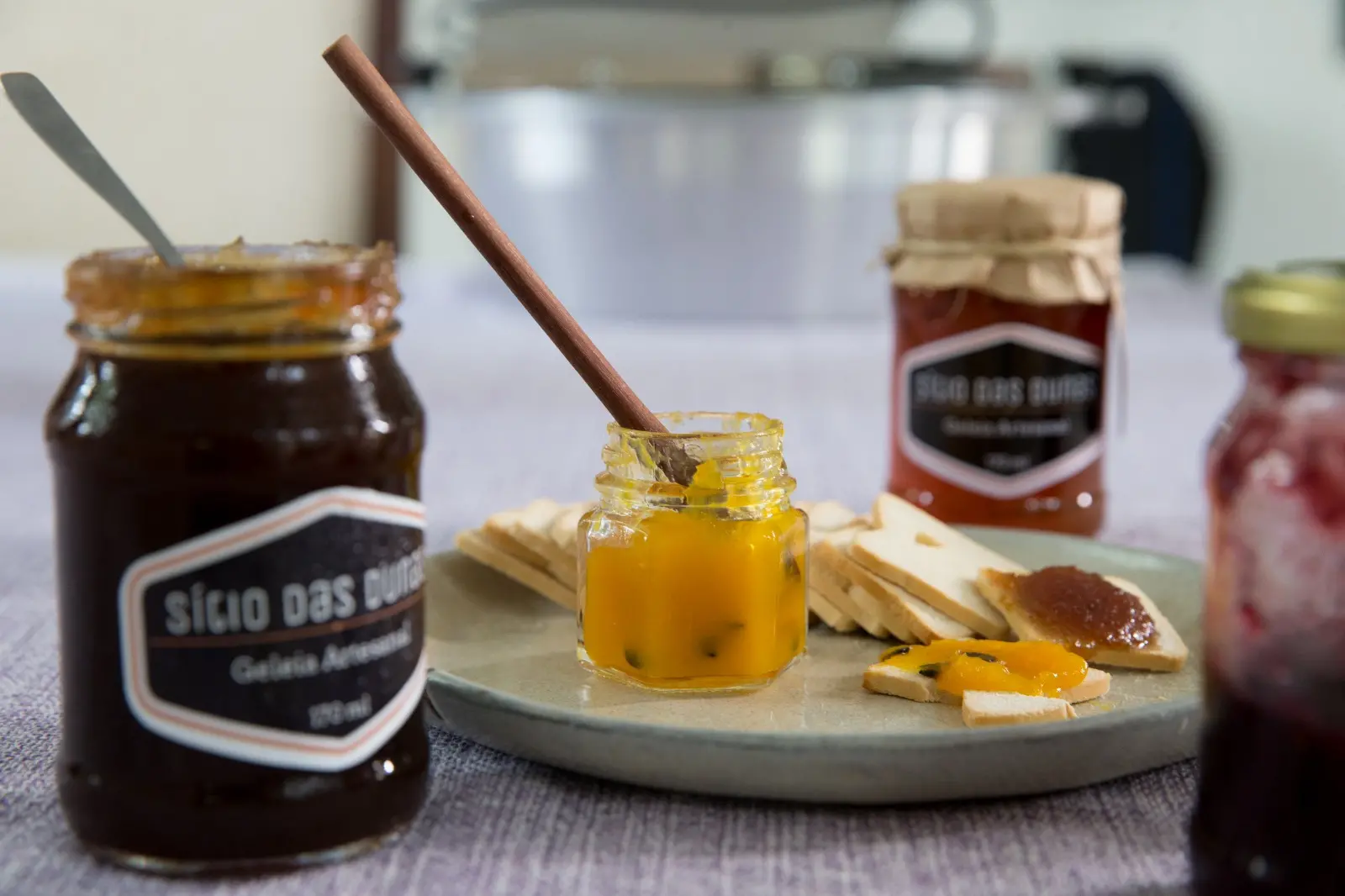 Sítio Dunas geleias de frutas Caucaia microcrédito orientado Cíntia Gamarra