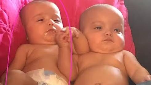 Bebês gêmeas de mãos dadas
