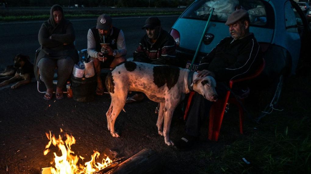 Cachorro e pessoas desalojadas no Rio Grande do Sul
